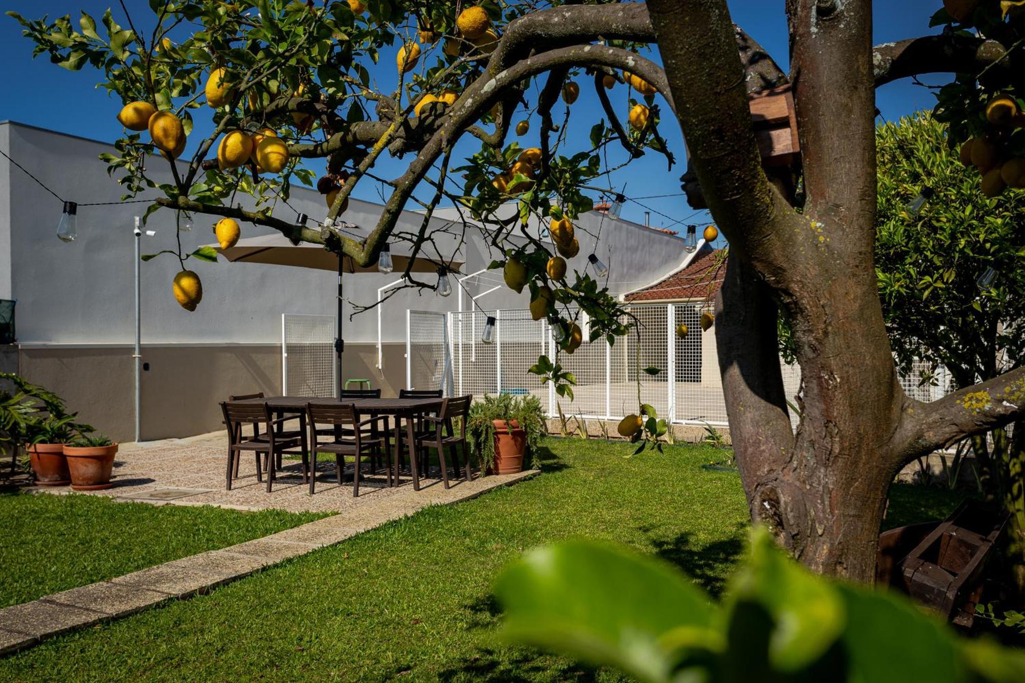 Villa 708 Mugnano House Aveleda Vila do Conde Exterior foto